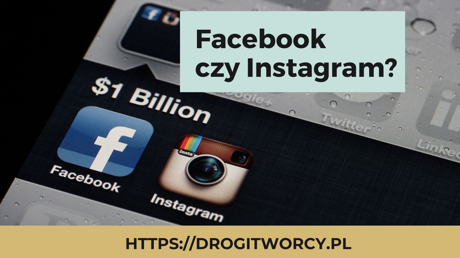 You are currently viewing Facebook czy Instagram?